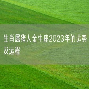 生肖属猪人金牛座2023年的运势及运程