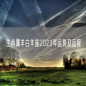 生肖属羊白羊座2023年运势及运程