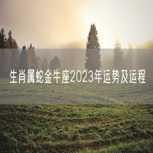 生肖属蛇金牛座2023年运势及运程