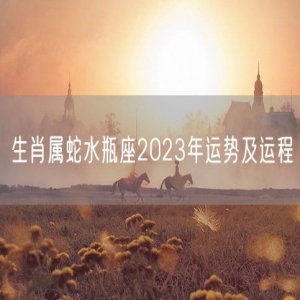 生肖属蛇水瓶座2023年运势及运程