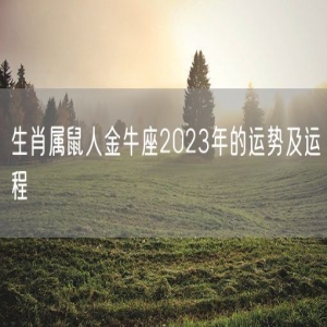生肖属鼠人金牛座2023年的运势及运程