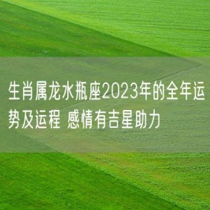 生肖属龙水瓶座2023年的全年运势及运程 感情有吉星助力