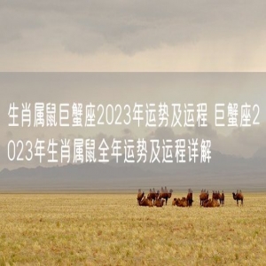 生肖属鼠巨蟹座2023年运势及运程 巨蟹座2023年生肖属鼠全年运势及运程详解