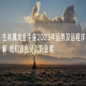 生肖属龙金牛座2023年运势及运程详解 他们适合什么职业呢