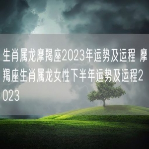 生肖属龙摩羯座2023年运势及运程 摩羯座生肖属龙女性下半年运势及运程2023