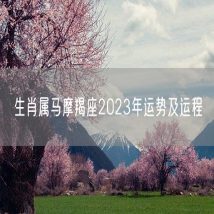 生肖属马摩羯座2023年运势及运程