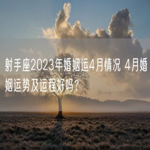 射手座2023年婚姻运4月情况 4月婚姻运势及运程好吗？