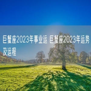 巨蟹座2023年事业运 巨蟹座2023年运势及运程