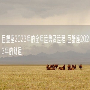 巨蟹座2023年的全年运势及运程 巨蟹座2023年的财运 