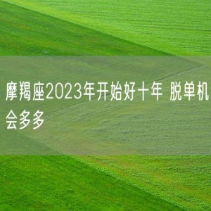 摩羯座2023年开始好十年 脱单机会多多