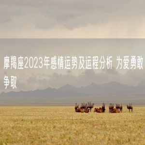 摩羯座2023年感情运势及运程分析 为爱勇敢争取