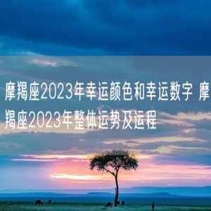 摩羯座2023年幸运颜色和幸运数字 摩羯座2023年整体运势及运程