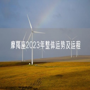 摩羯座2023年整体运势及运程