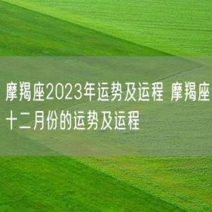 摩羯座2023年运势及运程 摩羯座十二月份的运势及运程