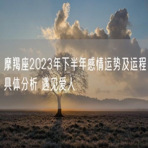 摩羯座2023年下半年感情运势及运程具体分析 遇见爱人