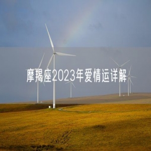 摩羯座2023年爱情运详解