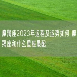 摩羯座2023年运程及运势如何 摩羯座和什么星座最配