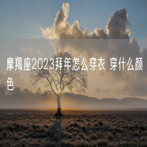 摩羯座2023拜年怎么穿衣 穿什么颜色