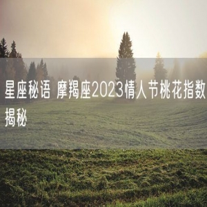 星座秘语 摩羯座2023情人节桃花指数揭秘