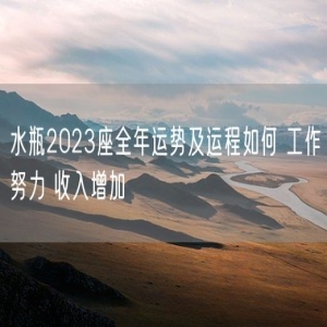 水瓶2023座全年运势及运程如何 工作努力 收入增加