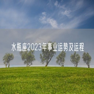 水瓶座2023年事业运势及运程