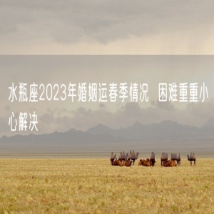 水瓶座2023年婚姻运春季情况  困难重重小心解决