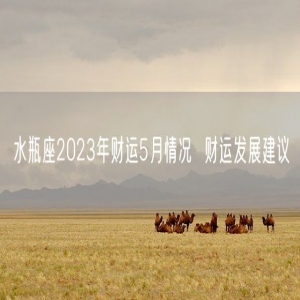 水瓶座2023年财运5月情况  财运发展建议