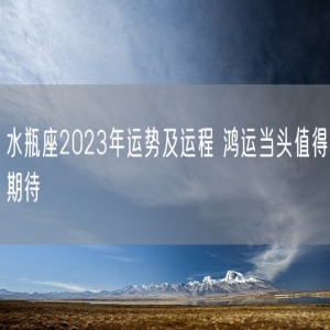 水瓶座2023年运势及运程 鸿运当头值得期待