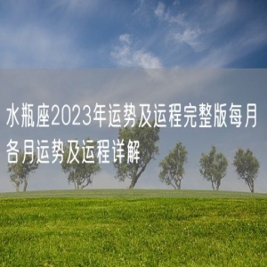 水瓶座2023年运势及运程完整版每月 各月运势及运程详解