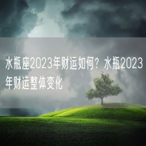 水瓶座2023年财运如何？水瓶2023年财运整体变化