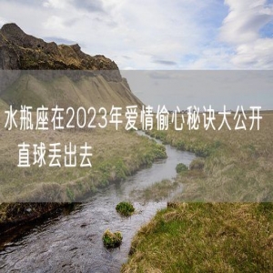 水瓶座在2023年爱情偷心秘诀大公开   直球丢出去