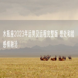 水瓶座2023年运势及运程完整版 想处和睦 感情融洽