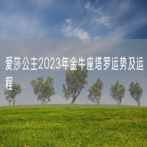 爱莎公主2023年金牛座塔罗运势及运程