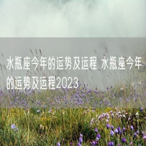 水瓶座今年的运势及运程 水瓶座今年的运势及运程2023