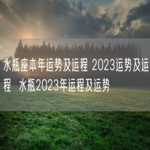 水瓶座本年运势及运程 2023运势及运程  水瓶2023年运程及运势