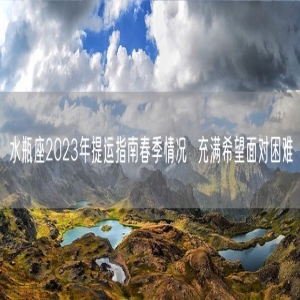 水瓶座2023年提运指南春季情况  充满希望面对困难