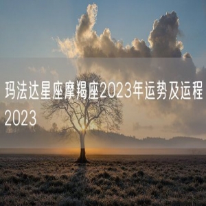 玛法达星座摩羯座2023年运势及运程2023
