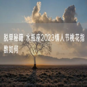 脱单秘籍 水瓶座2023情人节桃花指数如何