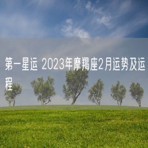第一星运 2023年摩羯座2月运势及运程