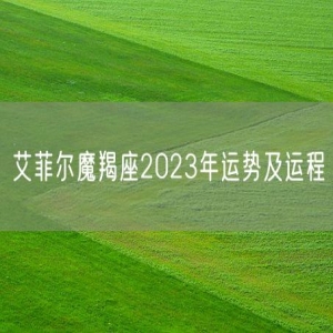 艾菲尔魔羯座2023年运势及运程