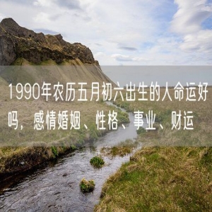 1990年农历五月初六出生的人命运好吗，感情婚姻、性格、事业、财运