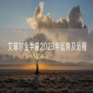 艾菲尔金牛座2023年运势及运程