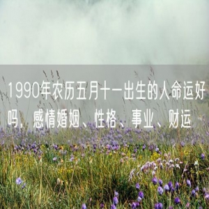 1990年农历五月十一出生的人命运好吗，感情婚姻、性格、事业、财运