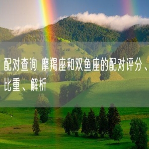 配对查询 摩羯座和双鱼座的配对评分、比重、解析