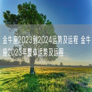 金牛座2023到2024运势及运程 金牛座2023年整体运势及运程