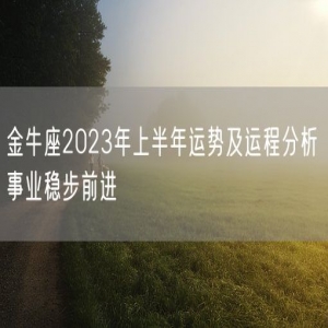 金牛座2023年上半年运势及运程分析 事业稳步前进