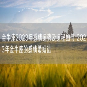 金牛座2023年感情运势及运程如何 2023年金牛座的感情婚姻运
