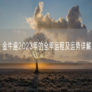 金牛座2023年的全年运程及运势详解