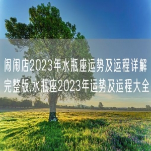 闹闹店2023年水瓶座运势及运程详解完整版,水瓶座2023年运势及运程大全
