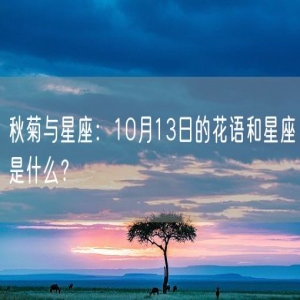 秋菊与星座：10月13日的花语和星座是什么？